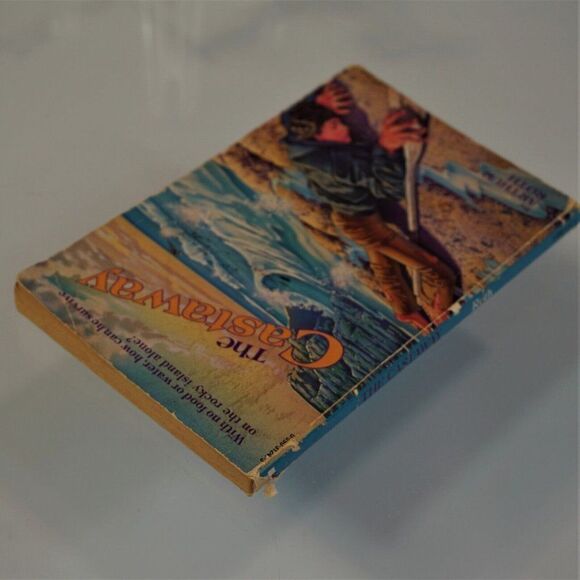 The Castaway by Arthur J. Roth Vintage 1983 Scholastic Paperback Juvenile - Picture 5 of 5